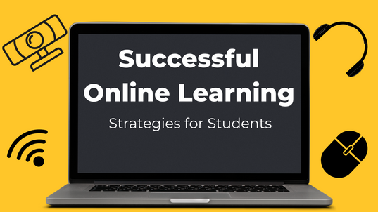 successful online learning