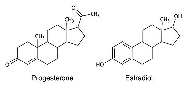 Progesterone-Estradiol