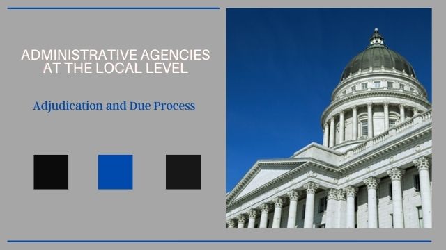 Administrative Agencies at the Local Level