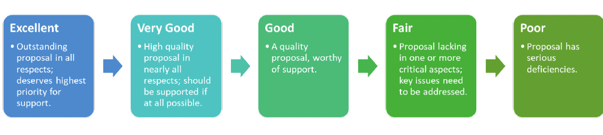 Evaluation Rubric