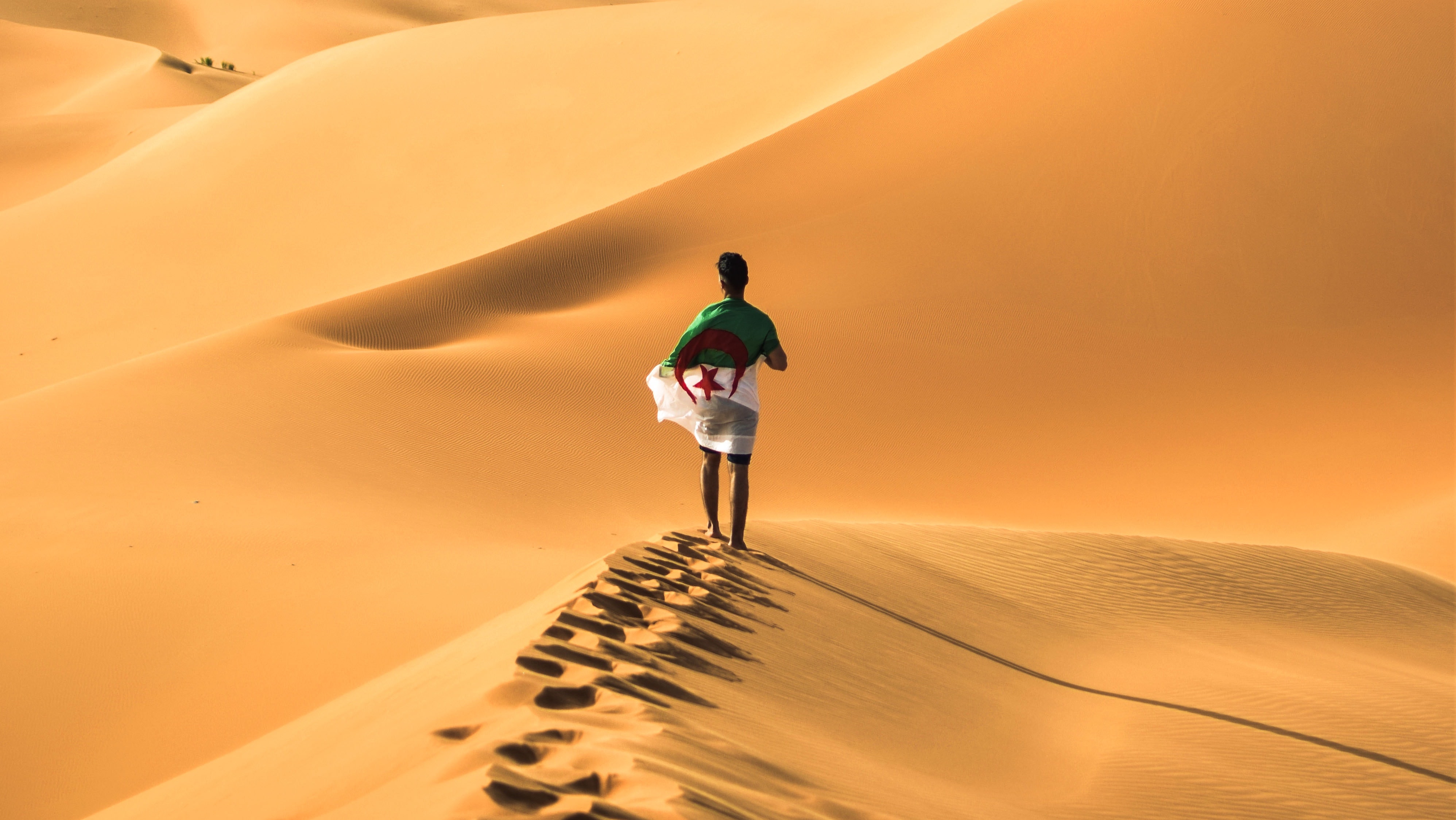 Young man with Algerian flag walking on Saraha dune